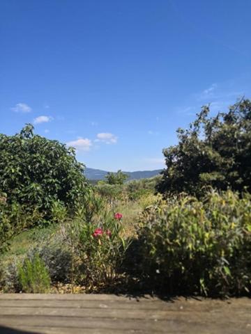 Villa Spacieuse Avec Terrasse Et Vue Mont Ventoux Entrechaux Exterior photo